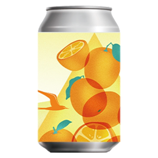 TripSmith行匠精酿啤酒24H金桔果味精酿啤酒水果味拉格国产鲜啤