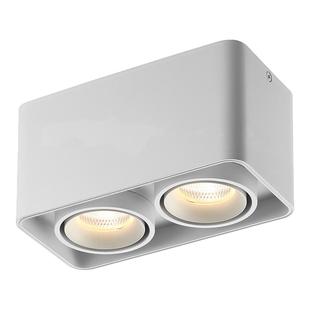 初识照明 明装射灯家用客厅无主灯过道走廊全光谱吸顶双头斗胆灯