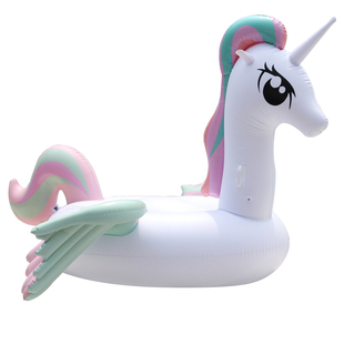 浪花兄弟工厂店 原版正品户外高品质大型火烈鸟坐骑浮排独角兽