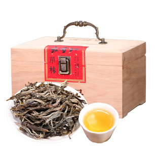 大雪山普洱茶生茶单株古树纯料2024年春茶云南生普洱自己喝的茶叶