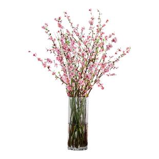 水培桃花枝树鲜花干支鲜切带花苞室内花卉水养绿植吊钟植物好养活