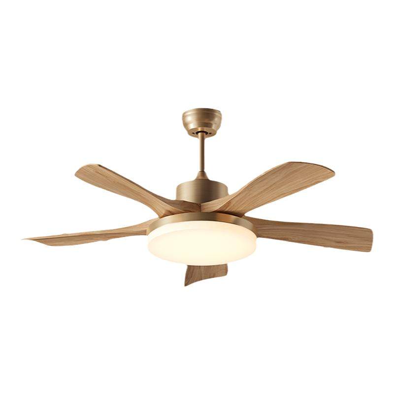 ���� ���ȵ��� ���ͷ��Լ�ִ������������Ҳ������� ͬ��˫�ھ� 339.24Ԫ