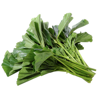 冬寒菜种子种籽孑冬苋菜苗秧蔬菜适合冬天四季秧苗菜苗菜籽老品种