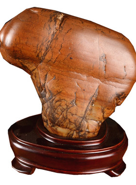 广西客厅大化石天然天然