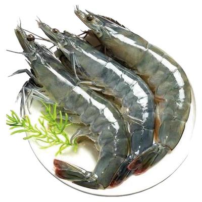 海捕速冻新鲜大虾饱满紧实