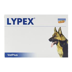 宠特宝胰酶LYPEX宠物狗狗猫咪犬急慢性胰腺炎多酶素VETPLUS利派斯