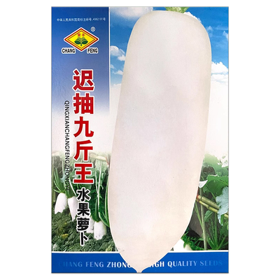 秋季蔬菜种子白萝卜籽