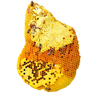 纯正天然野生蜂巢蜜嚼着吃Chewable Wild Honeycomb Honey