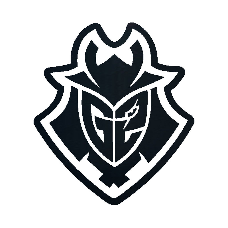 NAVIG2战队CSGO七彩镭射车贴