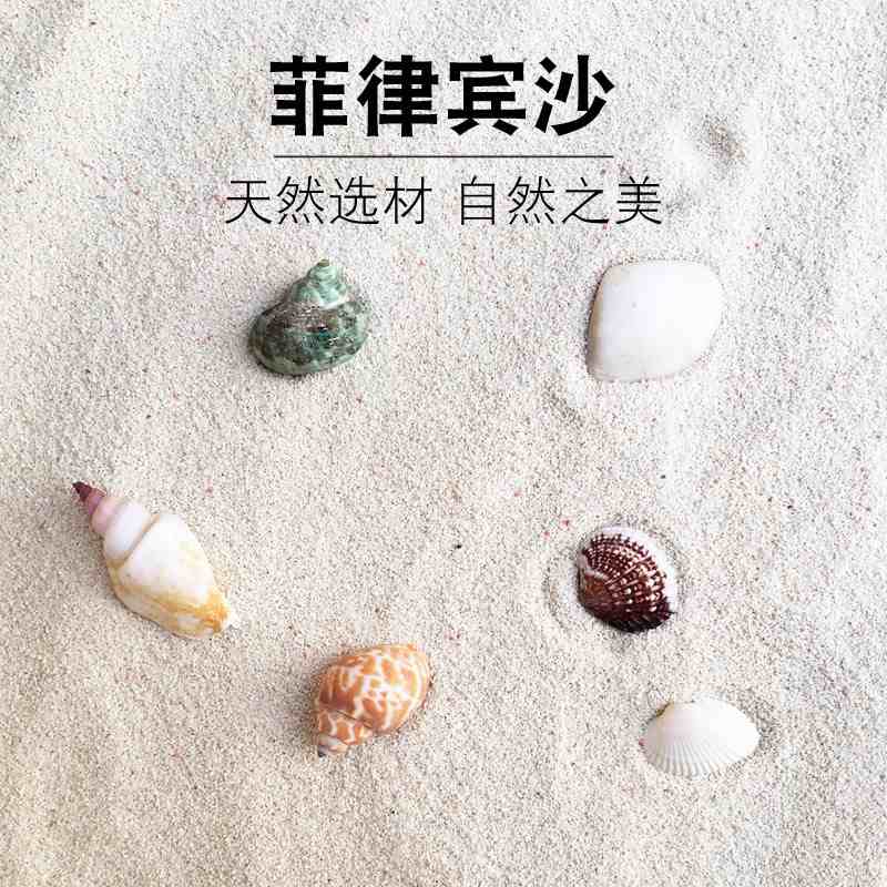菲律宾沙珊瑚沙 寄居蟹专用沙贝壳砂免洗 海缸白细沙鱼缸天然造景