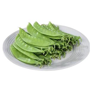 广西农家自种新鲜荷兰豆当天现摘现发保鲜发货