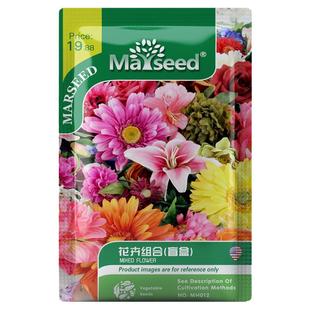 【花卉合集】进口毛地黄洋桔梗三色堇矮牵牛满天星花种子籽孑花苗