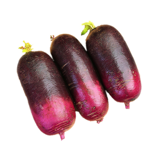 冰淇淋水果萝卜冰激凌冰糖心甜脆水果型新鲜紫皮潍坊萝卜生吃即食