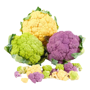 彩色花椰菜种子50粒紫黄绿混色洋花菜蔬菜西兰花籽盆栽春季秋季播