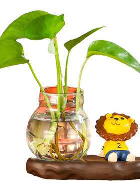 恺帅创意卡通风仰望星空水培摆件