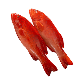 南海东星斑高端礼盒装鲜活冷冻深海水产年货海鲜大礼包春节送长辈