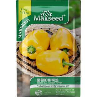 金色加州奇迹甜椒种子种苗多汁金黄光泽盆栽蔬菜四季结果高产C044