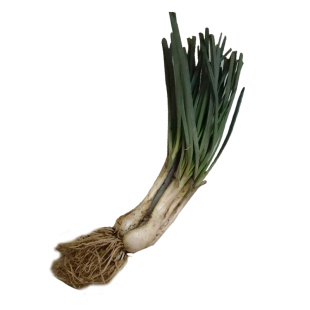 湖北新鲜藠头现挖带叶荞头荞子野葱小蒜蔬菜大叫头带叶教头1-5斤