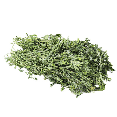 干草龙猫粮食荷兰猪饲料幼兔