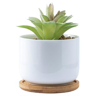 JOJO'S L. PD.tighten.花盆出口专供欧美简约纯色陶瓷多肉 | 富钥