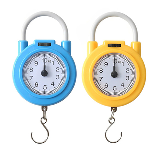 精准迷你手提电子秤高精度小型便携式吊秤弹簧秤家用钩称随身小秤