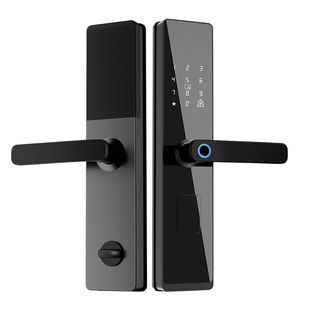 民宿酒店智能锁指纹远程密码锁门锁宾馆防盗入户门木门电子通通锁