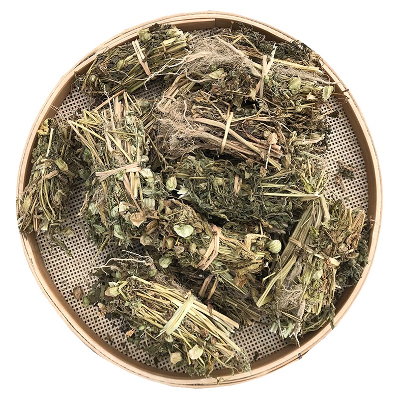 新鲜灯笼草全颗带根干货中药材