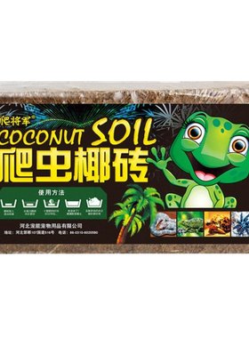 爬虫椰土椰砖陆龟过冬巴西龟保暖