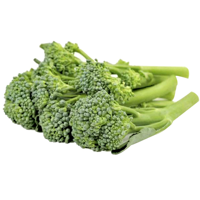 西兰苔种子种籽芥兰西兰花菜苔