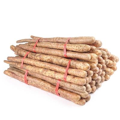 正宗河南焦作温县垆土铁棍山药特产铁杆山药产地直发新鲜5斤整箱