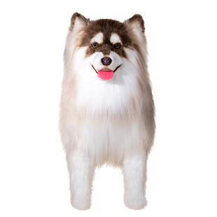 美国卡豆仿真阿拉斯加犬玩偶宠物狗公仔布偶毛绒玩具陪伴高级礼物