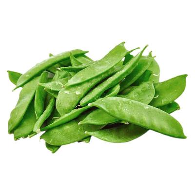 荷兰豆种子豌豆四季播大荚白花