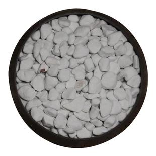 硬质珍珠岩颗粒大粉末少园艺养兰花月季石斛多肉专用营养拌土铺面