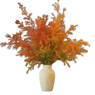 【空运】优选A级千层金鲜花云南基地直发黄金香柳可干花家用插花