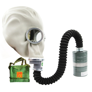 防毒面具氯气氯化氢氨气磷甲烷一氧化碳沼气甲醛防病毒全面罩送包