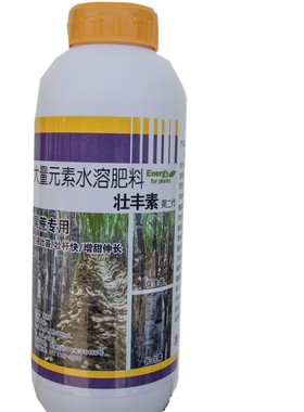 万科壮丰素甘蔗增粗拉长增加产量