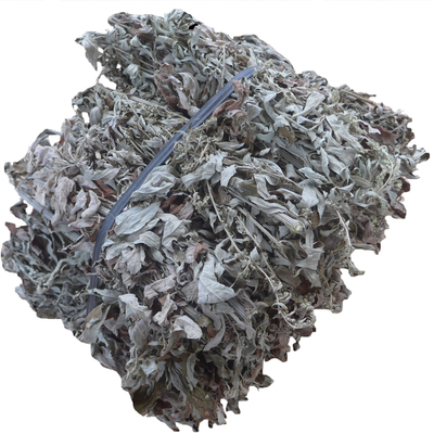 赣南农家野生大艾老陈艾