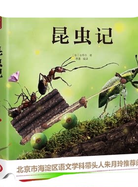 昆虫记无法布尔