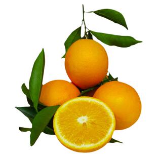 赣南脐橙20斤江西寻乌产地直发特级现摘薄皮新鲜多汁赣州甜橙子