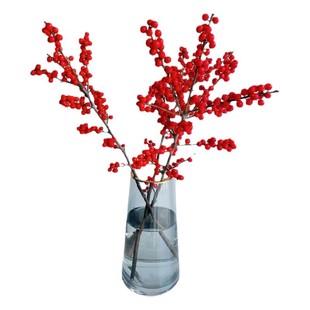 北美冬青红果真花鲜切花枝室内水培插花鲜花绿植水养年宵花卉植物