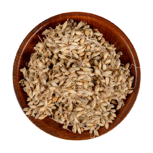 精选 生麦芽 大麦芽麦牙 500g/店内另有稻芽炒焦麦芽谷芽