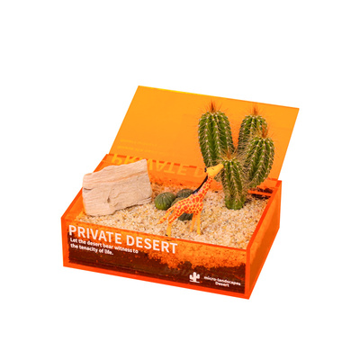 创意桌面沙漠绿洲微景观