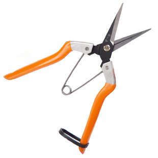 张小泉剪刀家用园林剪稀果剪果树剪细枝剪绿化修剪果实剪子果蔬剪