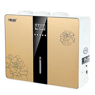 ro反渗透净水器家用直饮厨房自来水五级过滤器除水垢厨房纯净水机