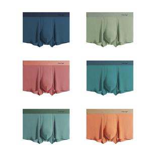 彗星天使男士内裤莫代尔抗菌平角裤青少年男式四角裤男生短裤男款