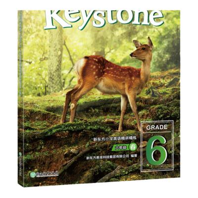 现货小学英语精讲精练