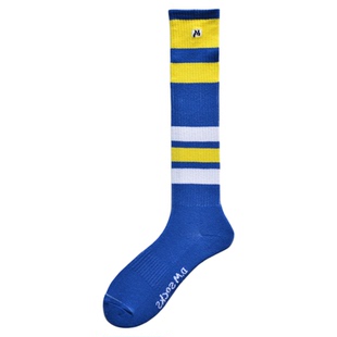 D.M男士高筒袜 条纹性感潮袜棉袜毛圈底加厚足球休闲袜子长筒冬天