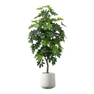鸭脚木仿真绿植盆栽高端轻奢室内客厅大型仿生假树落地装饰品摆件