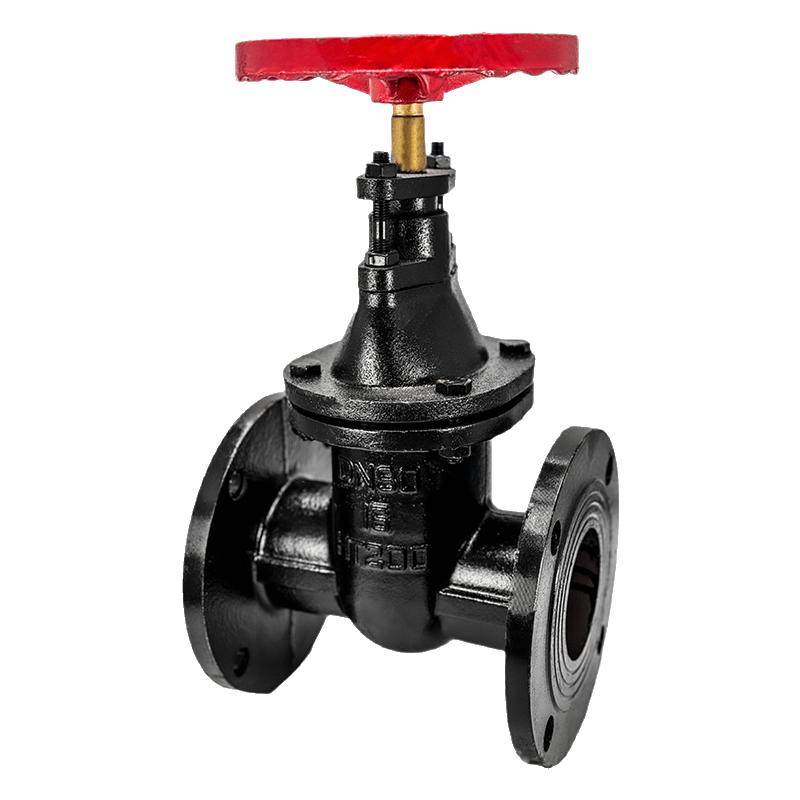 Z45T-16Q黑色铸铁闸阀阀门开关水法兰式暗杆闸阀升降式国标DN100