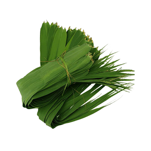 粽叶新鲜芦苇叶天然野生芦苇粽叶湖北特产现摘包粽子叶端午粽子叶